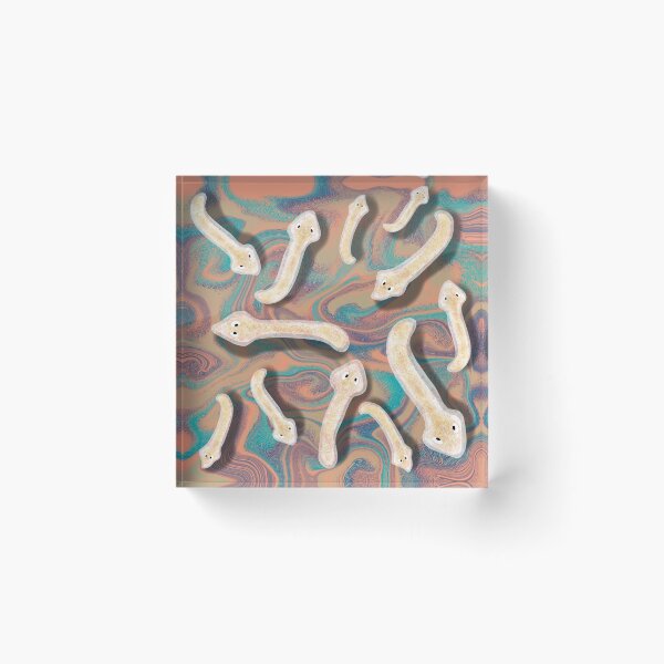 Item preview, Planaria artistic designed and sold by Osher-BioArt.