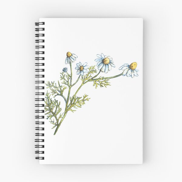 Item preview, chamomile designed and sold by KarolinaSt.
