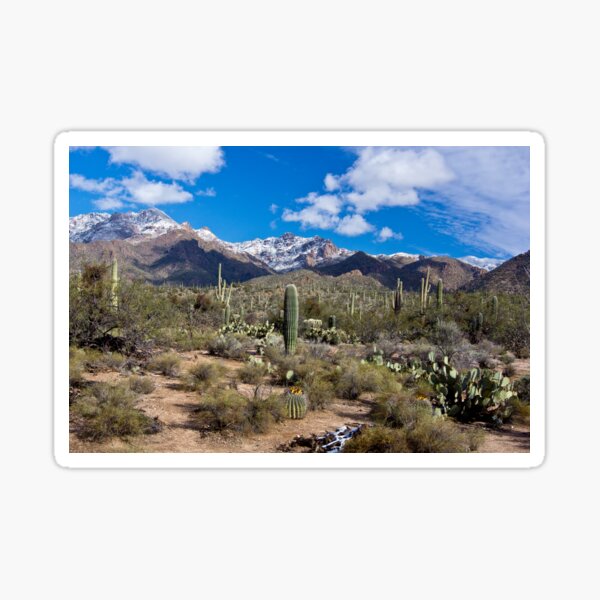 Vista previa del artículo con la obra «Sabino Canyon Tucson Arizona Estados Unidos», diseñado y vendido por wasootch.