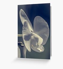 flower Greeting Card