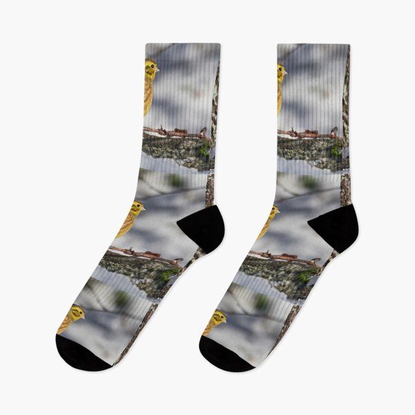 Item preview, Still some snow. Yellowhammer designed and sold by Jouko Lehto Photography.