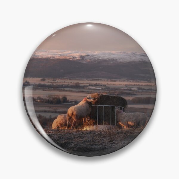 Item preview, Sunrise over Stirling with Sheep designed and sold by TMcG72.