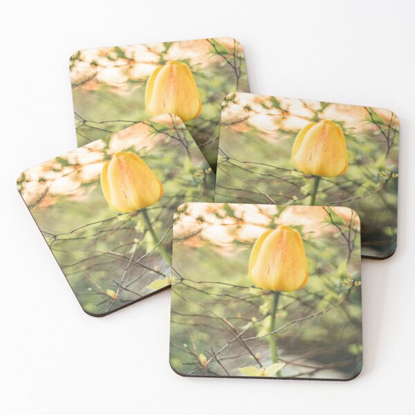 Item preview, Stunning yellow tulip in evening sun. designed and sold by EmelinaPhoto.