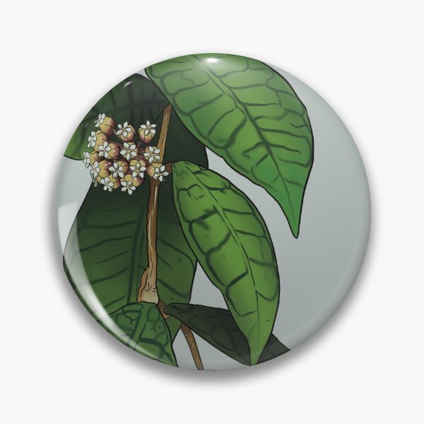 Item preview, Hoya callistophylla designed and sold by Wieskunde.