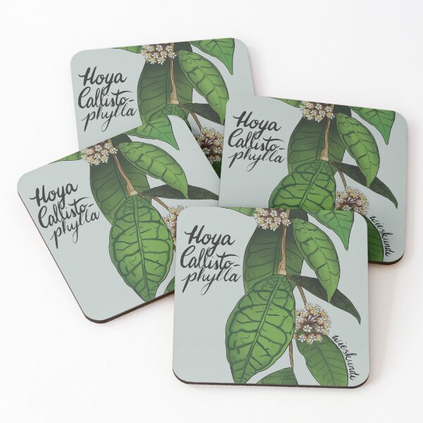 Item preview, Hoya callistophylla designed and sold by Wieskunde.