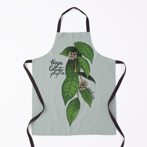 Item preview, Hoya callistophylla designed and sold by Wieskunde.