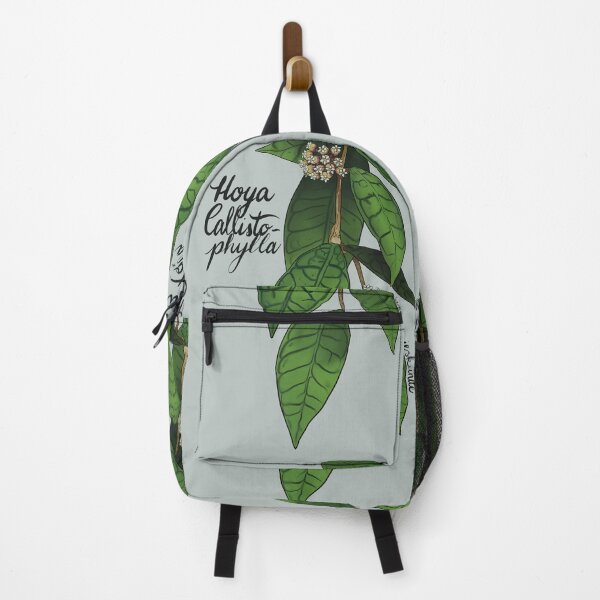 Item preview, Hoya callistophylla designed and sold by Wieskunde.