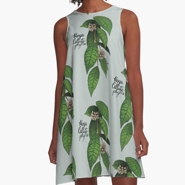 Hoya callistophylla A-Line Dress
