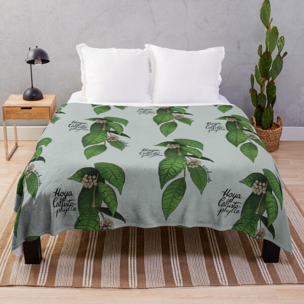 Item preview, Hoya callistophylla designed and sold by Wieskunde.