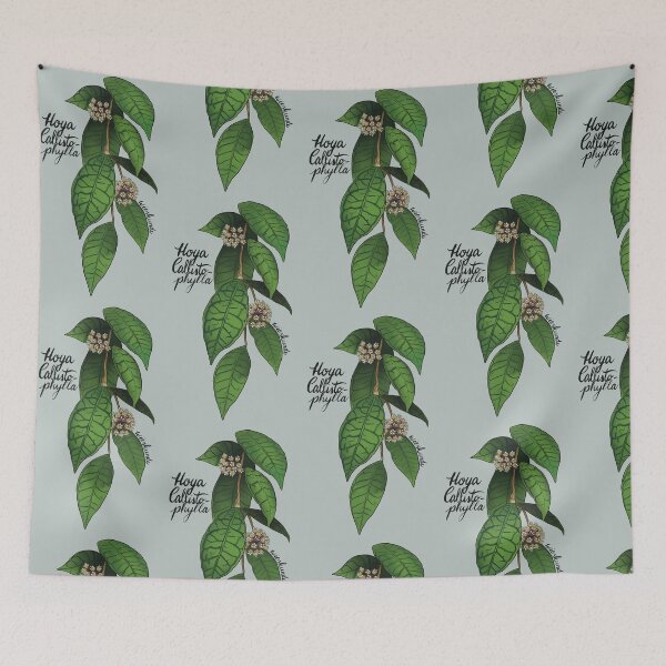 Item preview, Hoya callistophylla designed and sold by Wieskunde.