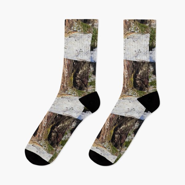 Item preview, Marks of  the winter still strong. Yellowhammer designed and sold by Jouko Lehto Photography.
