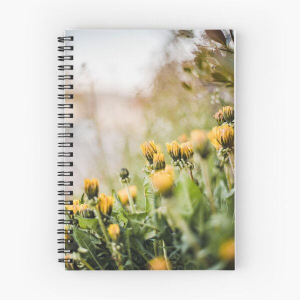 Item preview, Summer in a photo designed and sold by EmelinaPhoto.
