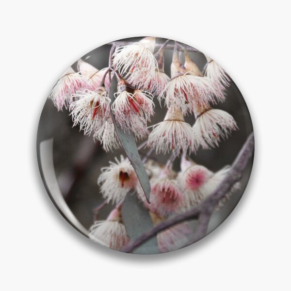 Item preview, Pink eucalyptus, Central Victoria designed and sold by Susan Henry.