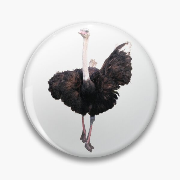 Item preview, Ostrich designed and sold by DoodleDashCollective.