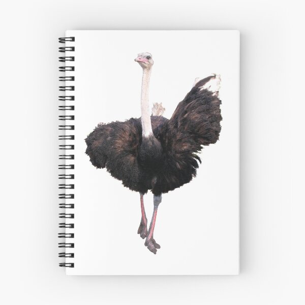 Item preview, Ostrich designed and sold by DoodleDashCollective.