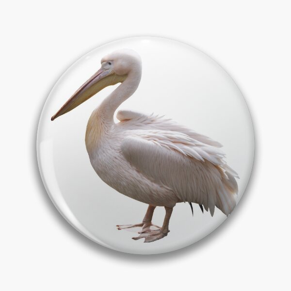 Item preview, Pelican designed and sold by DoodleDashCollective.