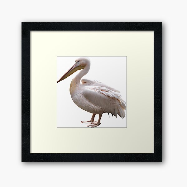 Item preview, Pelican designed and sold by DoodleDashCollective.
