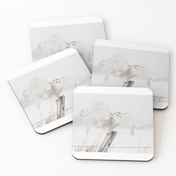 Item preview, Snowy owl on old Post designed and sold by James Cumming.