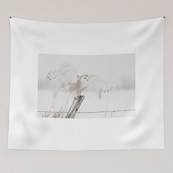 Item preview, Snowy owl on old Post designed and sold by James Cumming.