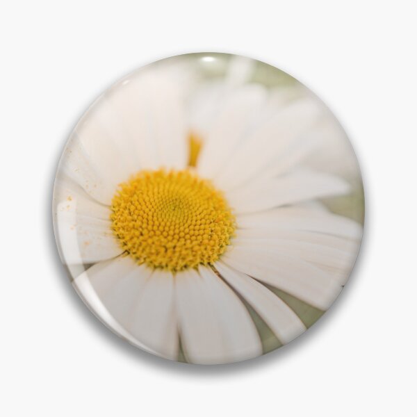 Item preview, Daisy beauty designed and sold by EmelinaPhoto.