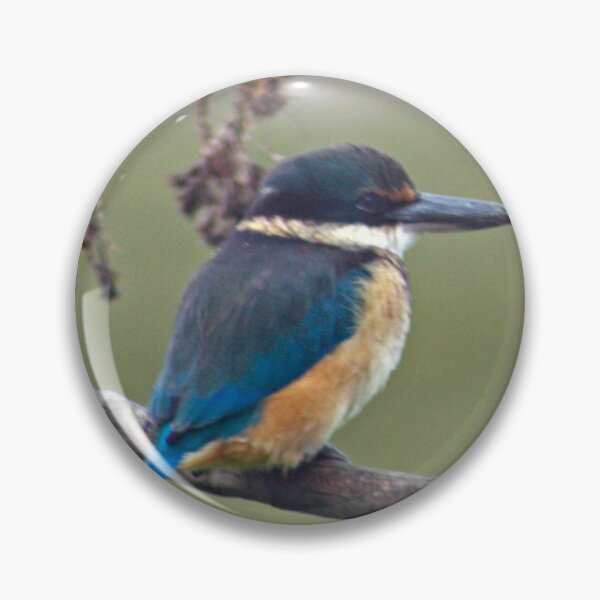 Item preview, NZ Kingfisher designed and sold by fbgraphics.