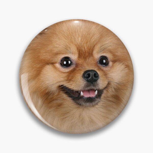 Item preview, Pomeranian designed and sold by DoodleDashCollective.