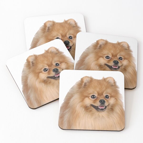 Item preview, Pomeranian designed and sold by DoodleDashCollective.