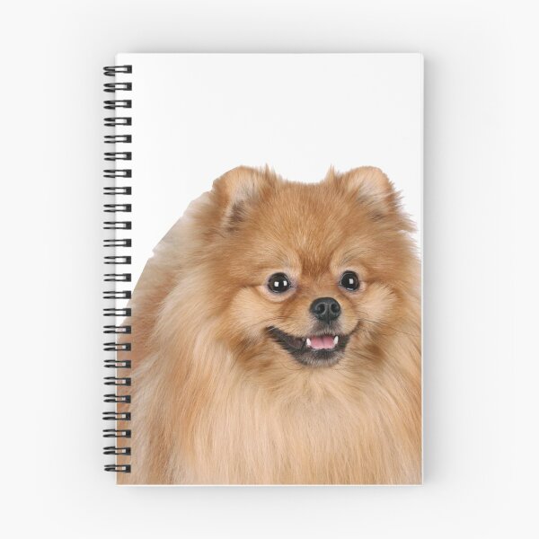 Item preview, Pomeranian designed and sold by DoodleDashCollective.