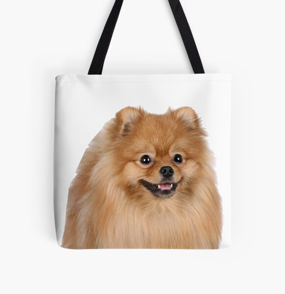 pomeranian bag