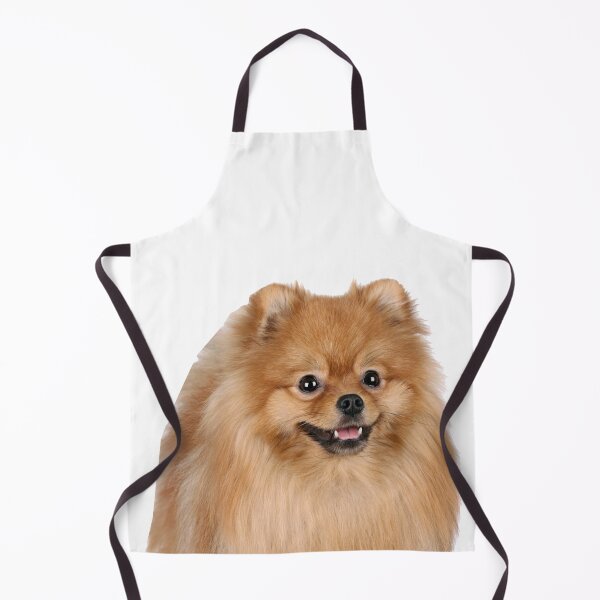 Item preview, Pomeranian designed and sold by DoodleDashCollective.
