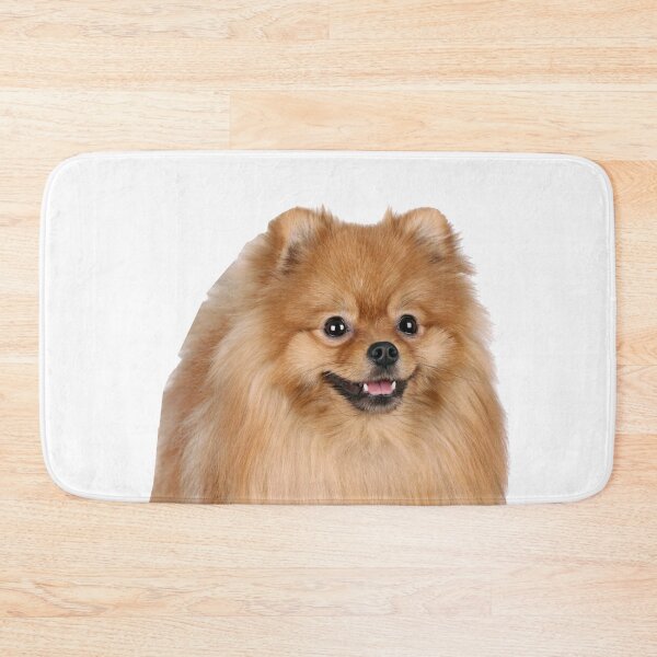 Item preview, Pomeranian designed and sold by DoodleDashCollective.
