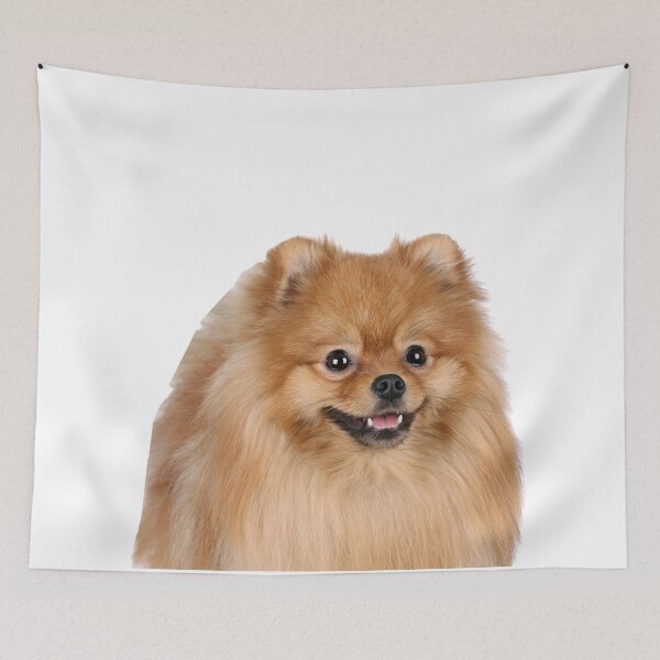 Item preview, Pomeranian designed and sold by DoodleDashCollective.