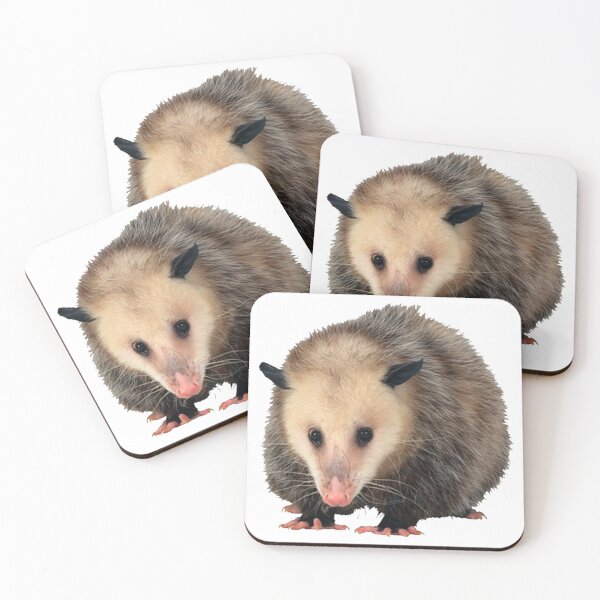Item preview, Possum designed and sold by DoodleDashCollective.