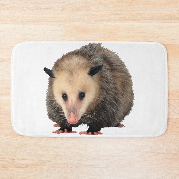 Item preview, Possum designed and sold by DoodleDashCollective.