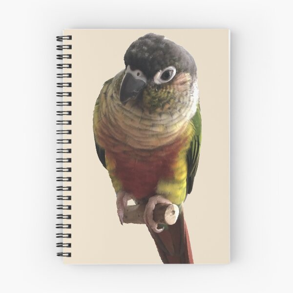 Item preview, Green Cheek Conure design | Conure | Small Parrot | Parakeet | Parrot lover designed and sold by TatianaLG.