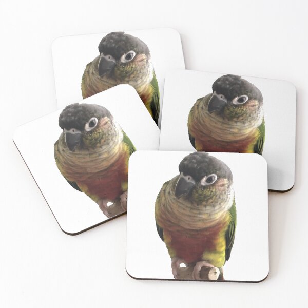 Item preview, Green Cheek Conure design | Conure | Small Parrot | Parakeet | Parrot lover designed and sold by TatianaLG.