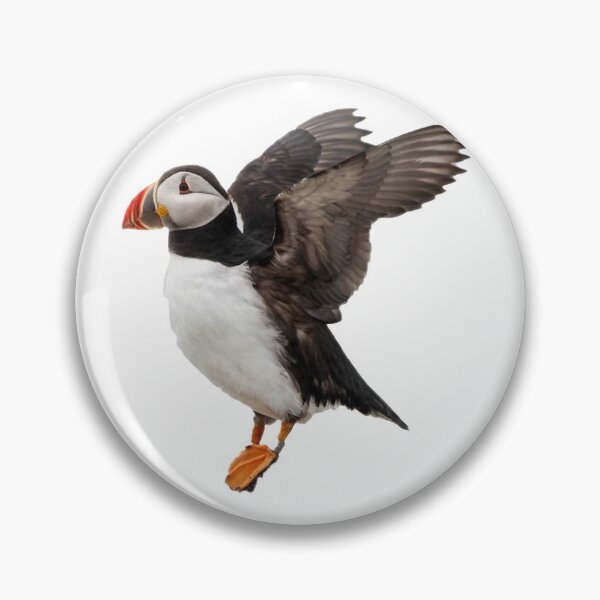 Item preview, Puffin designed and sold by DoodleDashCollective.