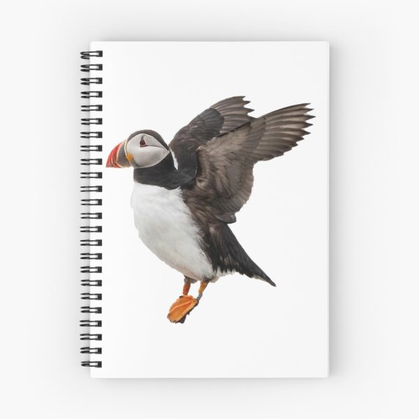 Item preview, Puffin designed and sold by DoodleDashCollective.