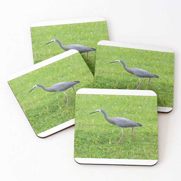 Item preview, New Zealand White Headed Heron designed and sold by fbgraphics.