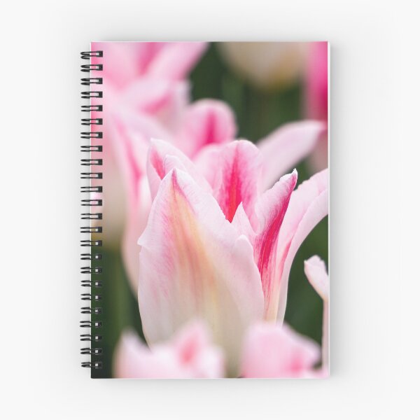 Item preview, Tulips 20 designed and sold by Praytera.
