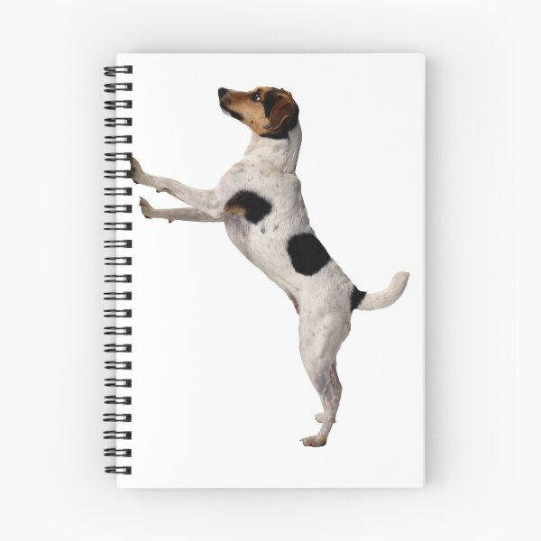 Item preview, Jack Russell Terrier designed and sold by DoodleDashCollective.