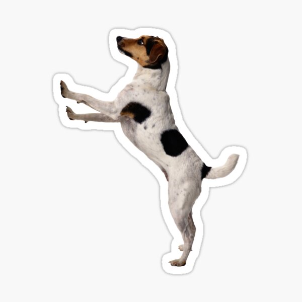 Item preview, Jack Russell Terrier designed and sold by DoodleDashCollective.