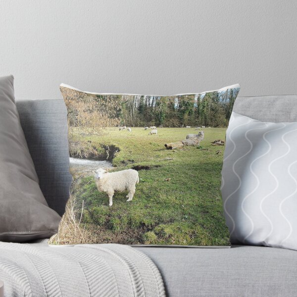 Item preview, Countryside and Sheep Photography designed and sold by s10-Photography.