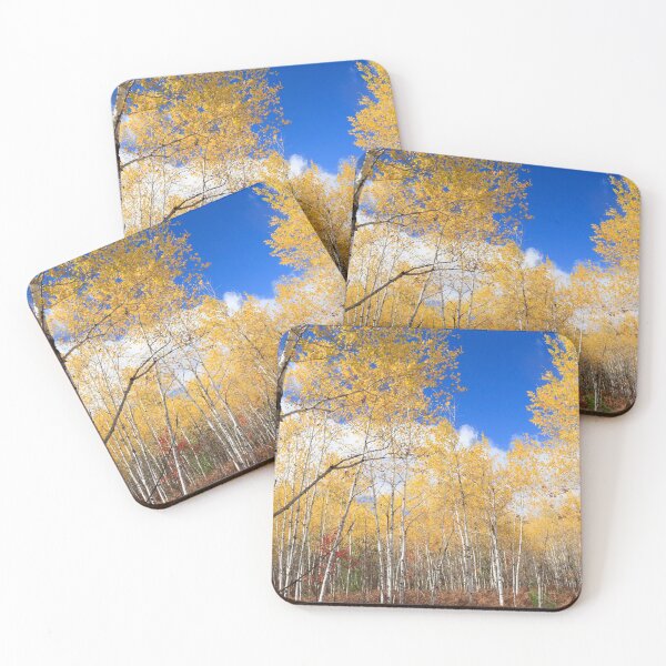 Item preview, Autumn aspen grove, Kalkaska County, Michigan designed and sold by Daniel Arthur Brown Photography.