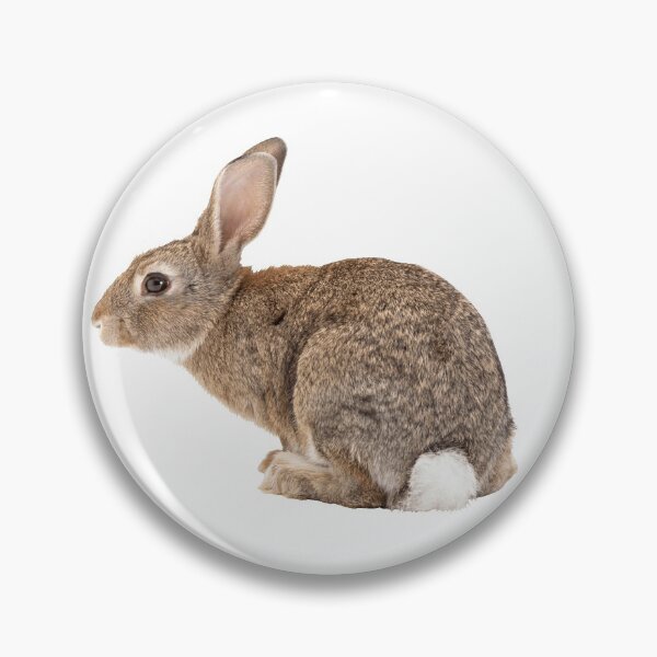 Item preview, Rabbit designed and sold by DoodleDashCollective.