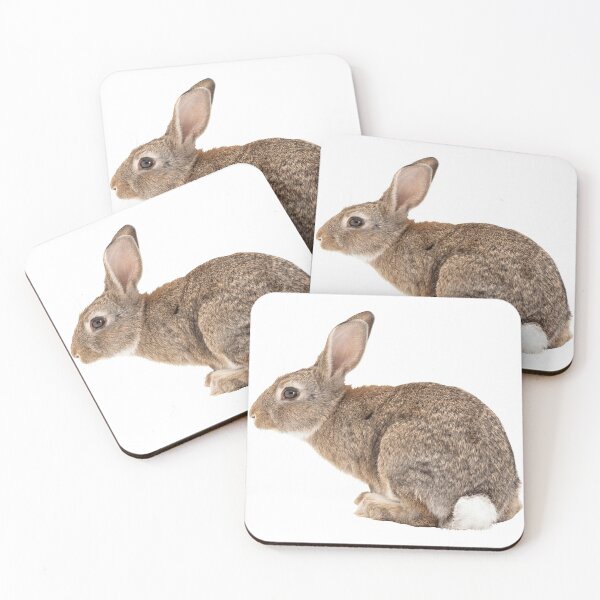 Item preview, Rabbit designed and sold by DoodleDashCollective.
