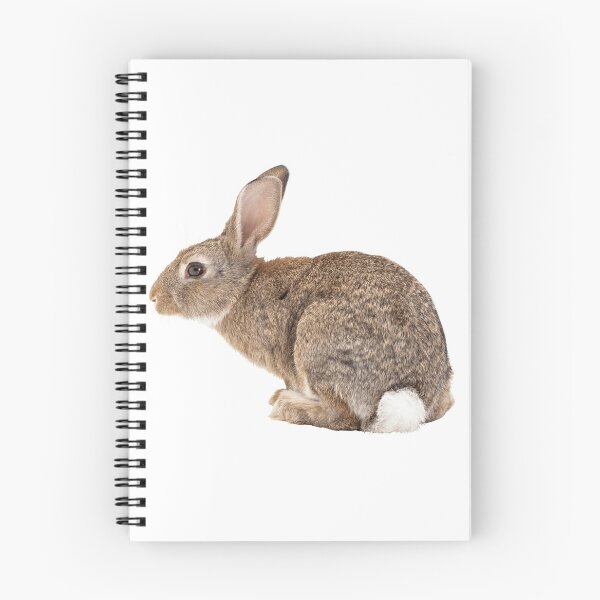 Item preview, Rabbit designed and sold by DoodleDashCollective.
