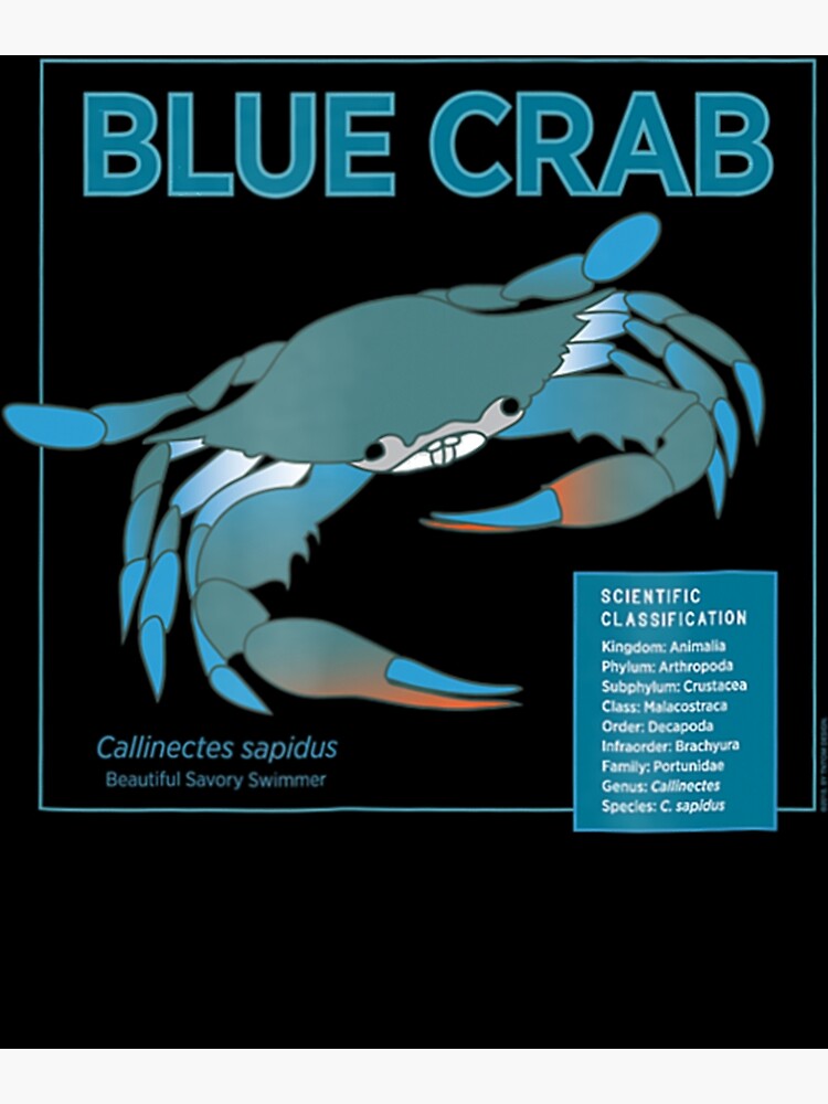 Discover Blue Crab Ecology Premium Matte Vertical Poster