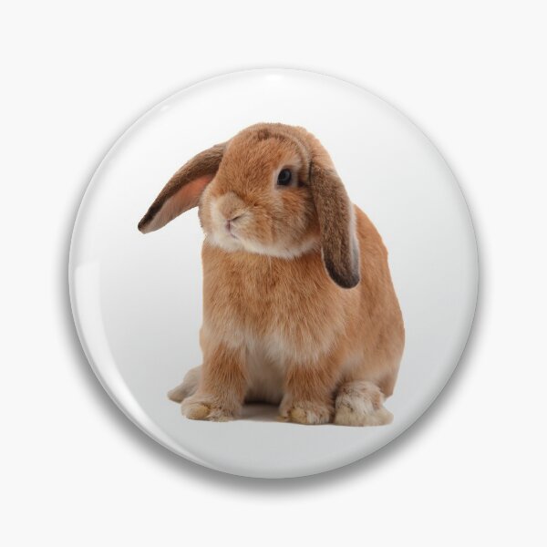 Item preview, Lop Eared Rabbit designed and sold by DoodleDashCollective.