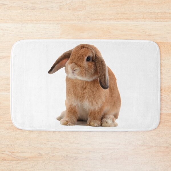 Item preview, Lop Eared Rabbit designed and sold by DoodleDashCollective.